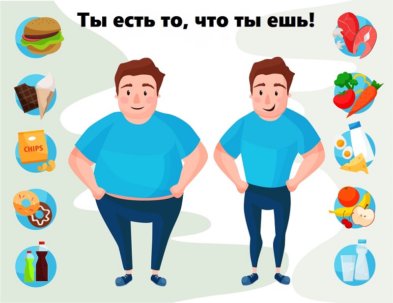 Проект ты есть то что ты ешь