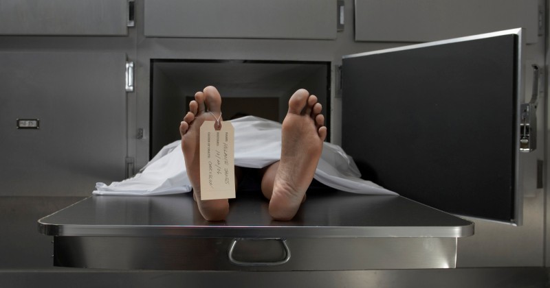Американские «брокеры тел»: как работал бизнес на мертвечине в Аризоне