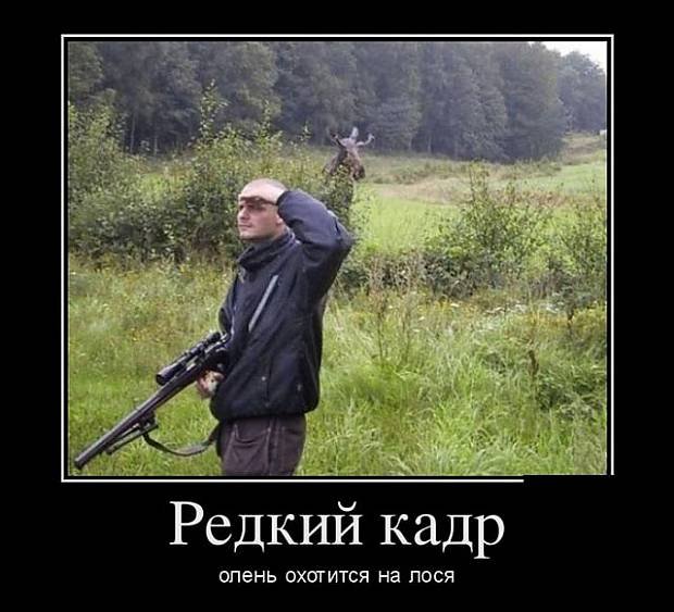 Прикольные демотиваторы для поднятия настроения (11 фото) Прикольные демотиваторы для поднятия настроения (11 фото)