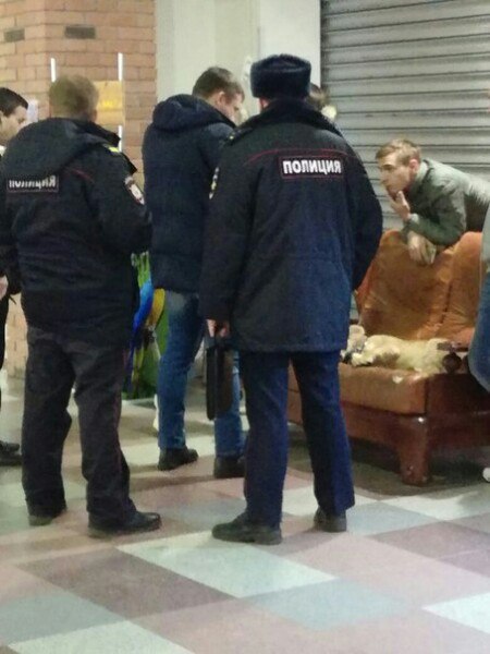 Жители твери возмутились из-за львенка в торговом центре Жители твери возмутились из-за львенка в торговом центре