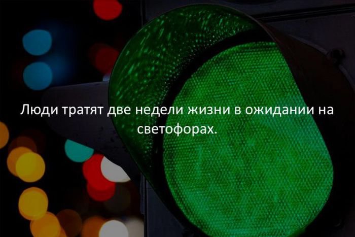 Факты о разном