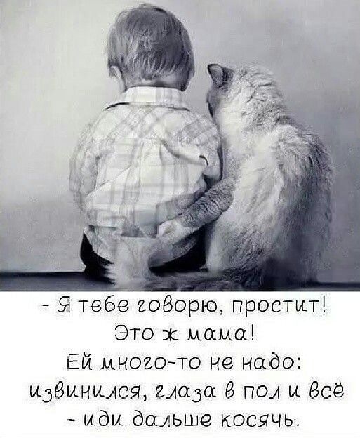 Подборка из смешных анекдотов, которые развеселят по-настоящему