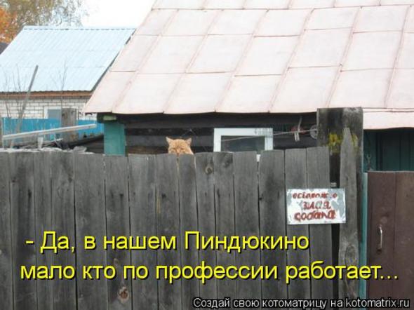 Котоматрицы (картинки с надписями)