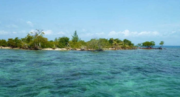 остров, квартира, сравнение, цена