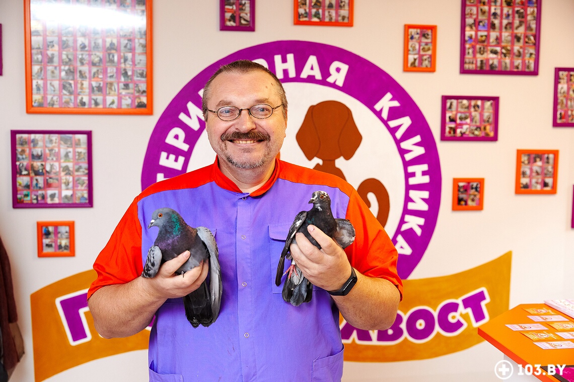 Ветеринар: 10 важных вещей, о которых вы не думаете, заводя питомца