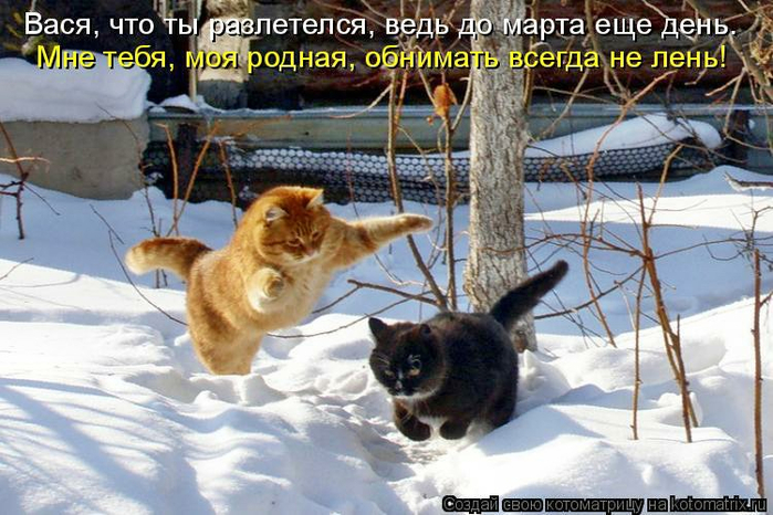 1299092701_837730 (700x466, 384Kb)