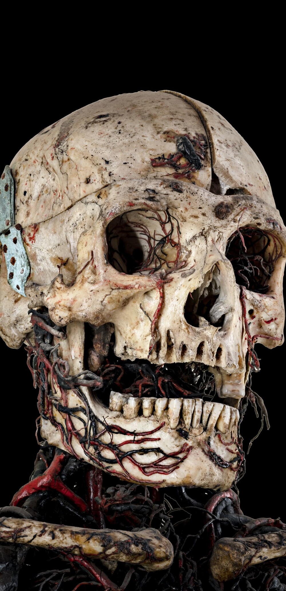 Анатомические машины Раймондо ди Сангро – правда и тёмная легенда