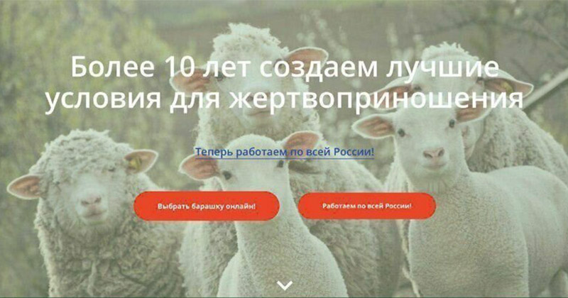Не стартап, а успешный бизнес. Раздумывающим на заметку! Стартапы, которые мы заслужили
(17 фото)