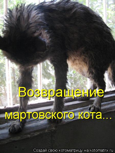 212698580_9025883c8ba4ac9f256a5ddf4ef82b19_800 (450x600, 206Kb)