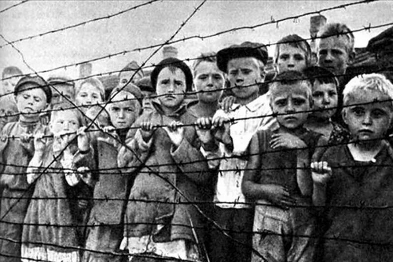Как нацисты забирали кровь у советских детей: Тайна Красного Берега Как нацисты забирали кровь у советских детей: Тайна Красного Берега