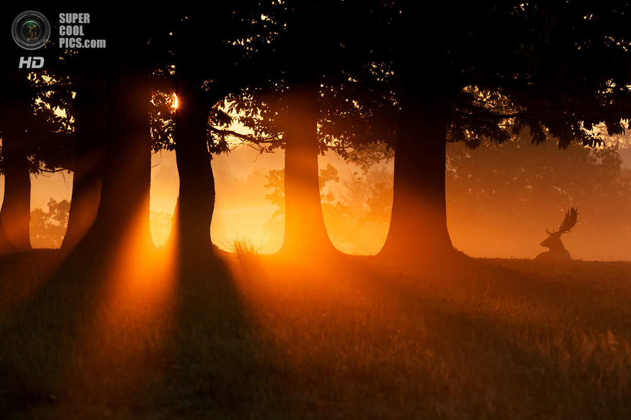 Ранняя осень. (Mark Bridger)