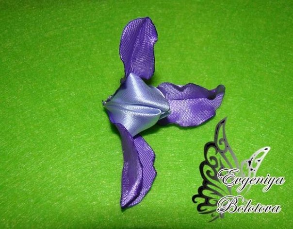 ������ ����� �� ����