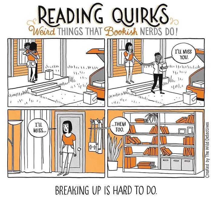 Reading-Quirks-Comics-The-Wild-Detectives