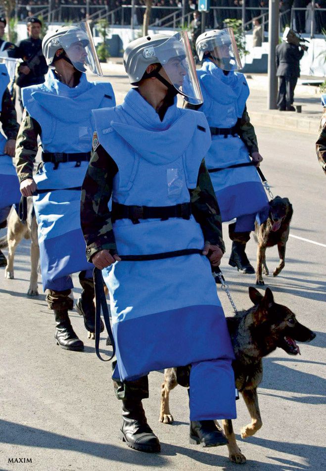 интересное, фото, факты, армия, форма, мир