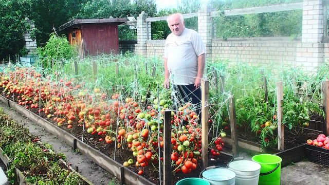 Сад и огород своими руками валерий украина
