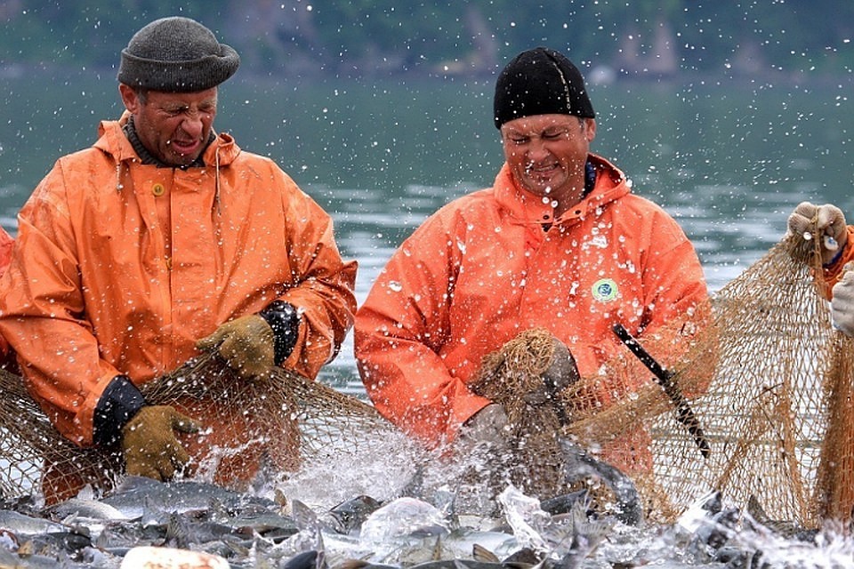 В Росрыбаловстве объяснили разницу в квотах по вылову рыбы в Азовском море. ФОТО: Росрыбаловство