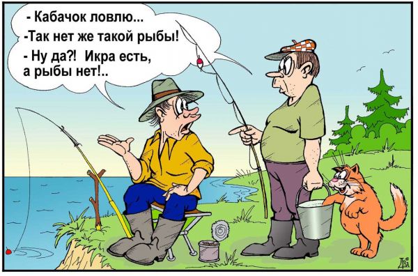 Стих про рыбалку летом Стих про рыбалку летом