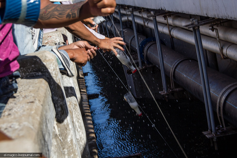 Как вьетнамцы ловят рыбу пластиковыми бутылками