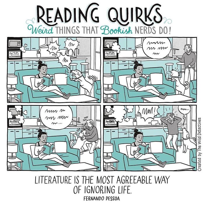 Reading-Quirks-Comics-The-Wild-Detectives