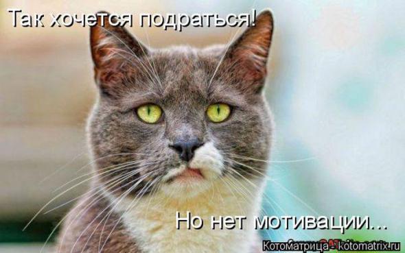 �����������(�������� � ���������)