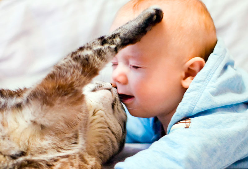 Малыши: трогательные фотографии детей и животных