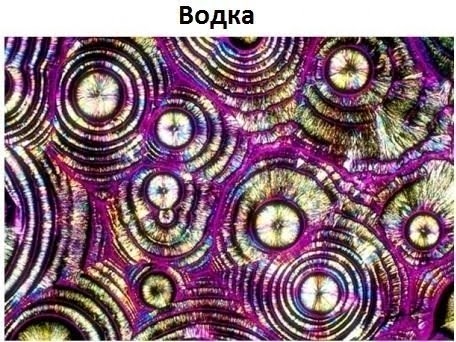 Немного интересного под микроскопом