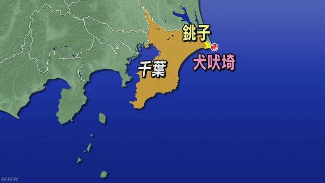 Японское судно затонуло после столкновения с другим кораблем, четыре человека пропали без вести