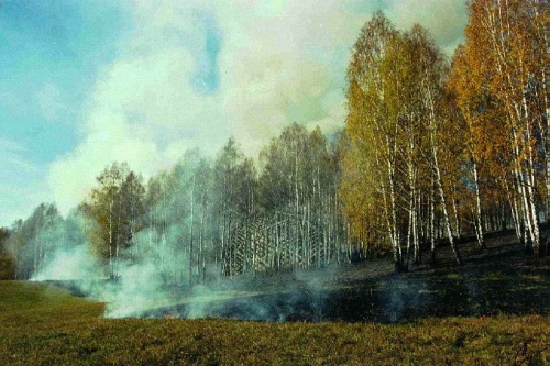 СВЕРХСЕКРЕТНЫЕ ФОТОГРАФИИ, СТАВШИЕ ДОСТОЯНИЕМ ЖУРНАЛИСТОВ