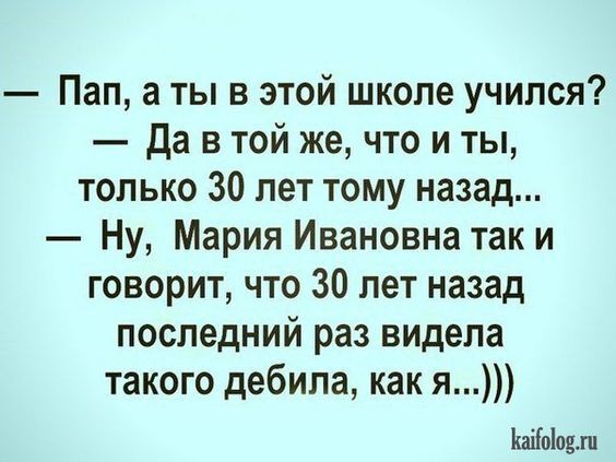 Подборка из смешных анекдотов, которые развеселят по-настоящему