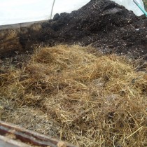 ������������ ������� ����� ������. ��������� ������ ������������ �������