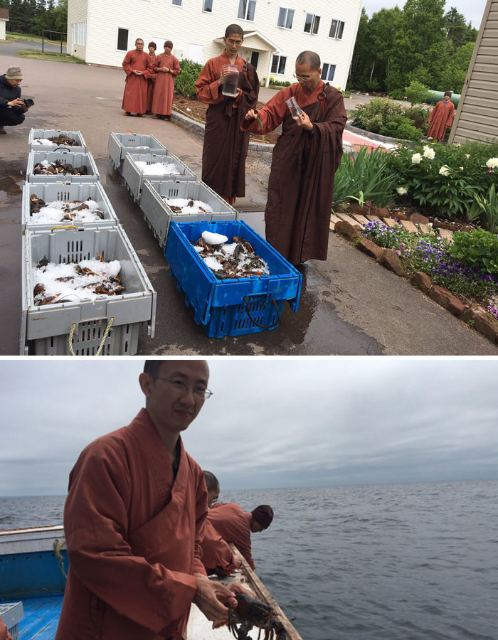 Буддистские монахи купили 250 килограммов лобстеров, чтобы отпустить их обратно в океан Счастливый конец, животные, спасение
