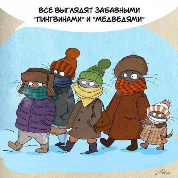 За что следует любить зиму (10 картинок) За что следует любить зиму
