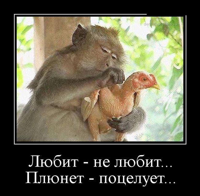 Забавные демотиваторы про женщин и не только (11 фото) Забавные демотиваторы про женщин и не только (11 фото)