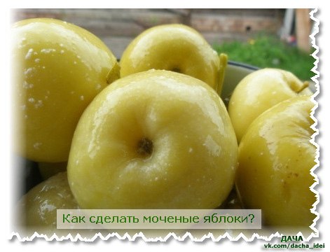 Мочение яблок в домашних условиях
