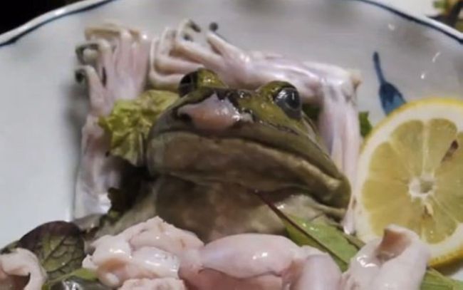 Блюда из живых животных