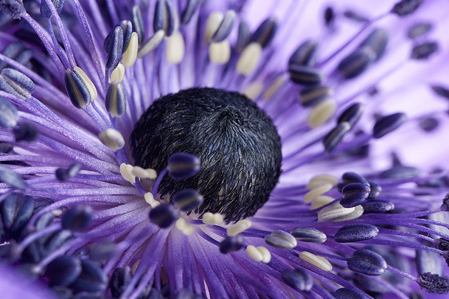 10 ������ ��������������� 2014 ���� �� ������ ����� 500px