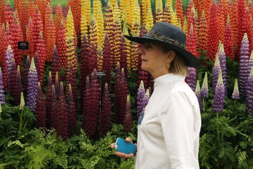 Цветочная выставка Chelsea Flower Show 2014 (24 фото)