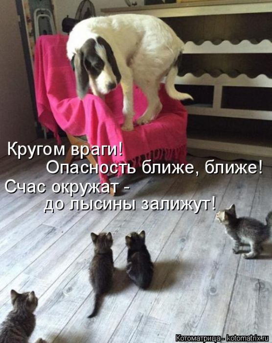 Оторвала бородавку на пальце