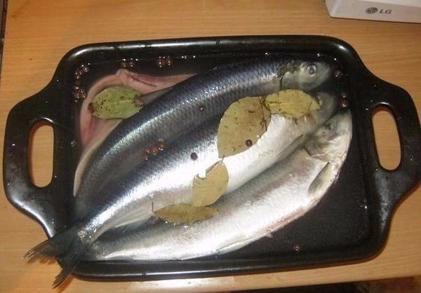 Сельдь пряного посола