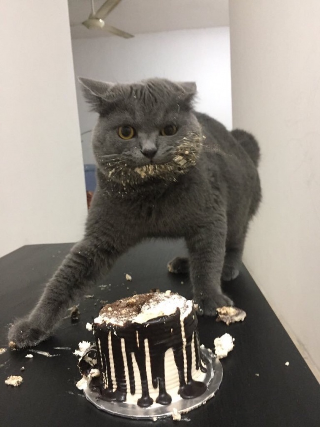 15     (  ,)))))))