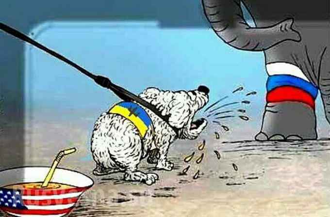 В Киеве подзуживают ЕС вместе с США «жестко дожимать Путина» В Киеве подзуживают ЕС вместе с США «жестко дожимать Путина»