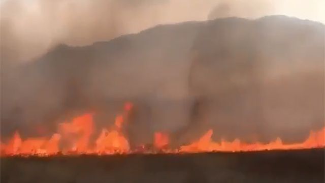 В Приморье бушуют природные пожары на целых гектарах полей