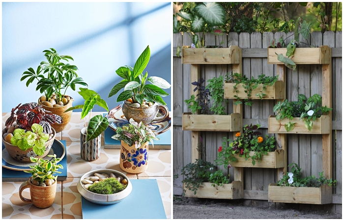 8 идей для декоративного мини-сада, которые оживят любое пространство