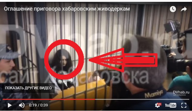 Что стало с хабаровскими живодерами 2018 Что стало с хабаровскими живодерами 2018