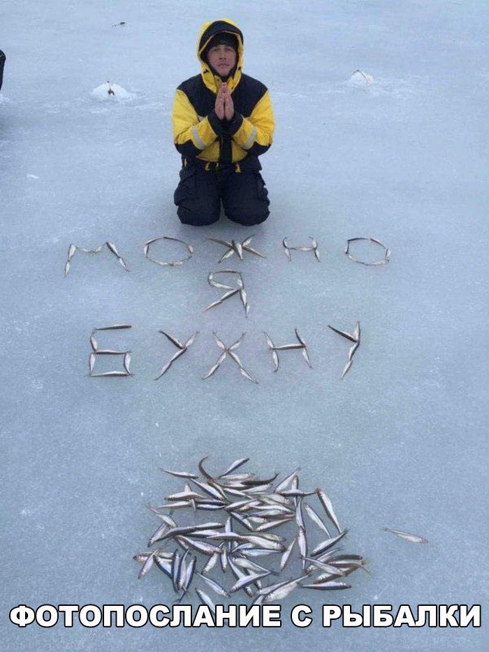 Сборная солянка позитива и веселья (10 фото) Сборная солянка позитива и веселья (10 фото)