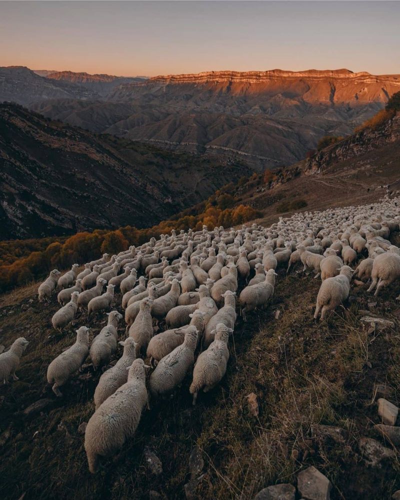 10 фото самых красивых мест Дагестана