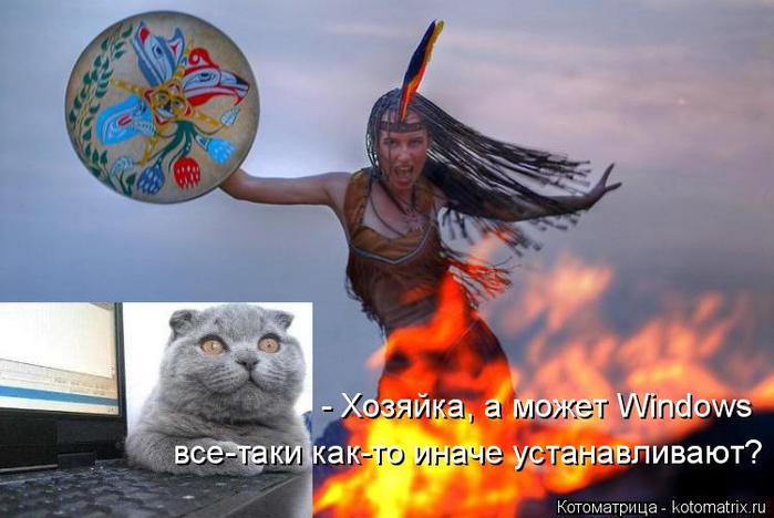 kotomatritsa_YP (700x468, 294Kb)