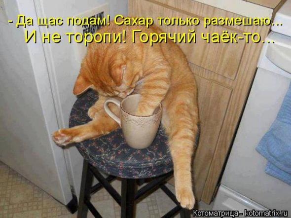 �����������(�������� � ���������)