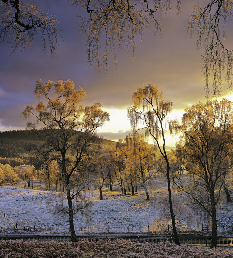 Завораживающие пейзажи Яна Камерона (Ian Cameron)