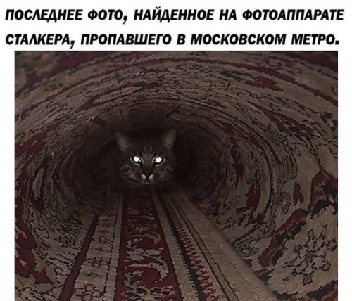 Ночные прикольные картинки (30 шт) Ночные прикольные картинки (30 шт)